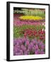 Keukenhof Gardens, Lisse, Netherlands, Holland-Adam Jones-Framed Photographic Print