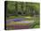 Keukenhof Gardens, Lisse, Netherlands, Holland-Adam Jones-Stretched Canvas