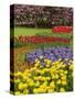 Keukenhof Gardens, Lisse, Netherlands, Holland-Adam Jones-Stretched Canvas