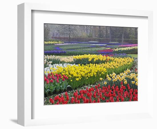 Keukenhof Gardens, Lisse, Netherlands, Holland-Adam Jones-Framed Photographic Print