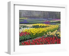 Keukenhof Gardens, Lisse, Netherlands, Holland-Adam Jones-Framed Photographic Print