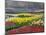 Keukenhof Gardens, Lisse, Netherlands, Holland-Adam Jones-Mounted Photographic Print