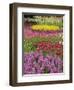 Keukenhof Gardens, Lisse, Netherlands, Holland-Adam Jones-Framed Premium Photographic Print