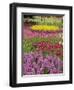 Keukenhof Gardens, Lisse, Netherlands, Holland-Adam Jones-Framed Premium Photographic Print