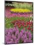 Keukenhof Gardens, Lisse, Netherlands, Holland-Adam Jones-Mounted Premium Photographic Print