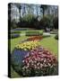 Keukenhof Gardens, Lisse, Netherlands-null-Stretched Canvas