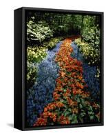 Keukenhof Gardens, Lisse, Netherlands-null-Framed Stretched Canvas