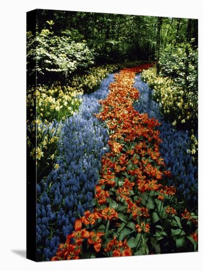 Keukenhof Gardens, Lisse, Netherlands-null-Stretched Canvas