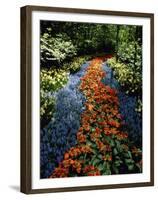 Keukenhof Gardens, Lisse, Netherlands-null-Framed Premium Photographic Print