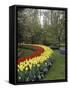 Keukenhof Gardens, Lisse, Netherlands-null-Framed Stretched Canvas