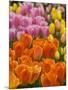 Keukenhof Gardens, Lisse, Netherlands-Cindy Miller Hopkins-Mounted Photographic Print