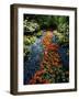 Keukenhof Gardens, Lisse, Netherlands-null-Framed Photographic Print