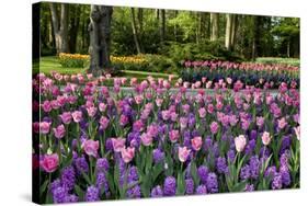 Keukenhof Gardens Near Lisse in Springtime Bloom-Darrell Gulin-Stretched Canvas