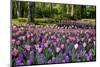 Keukenhof Gardens Near Lisse in Springtime Bloom-Darrell Gulin-Mounted Premium Photographic Print