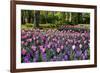 Keukenhof Gardens Near Lisse in Springtime Bloom-Darrell Gulin-Framed Photographic Print