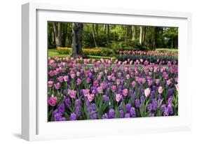 Keukenhof Gardens Near Lisse in Springtime Bloom-Darrell Gulin-Framed Photographic Print