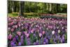 Keukenhof Gardens Near Lisse in Springtime Bloom-Darrell Gulin-Mounted Photographic Print