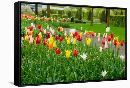 Keukenhof Garedns , Holland-neirfy-Framed Stretched Canvas