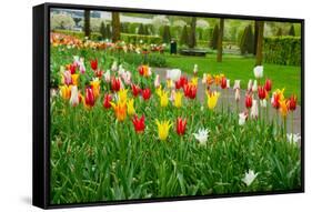 Keukenhof Garedns , Holland-neirfy-Framed Stretched Canvas