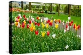 Keukenhof Garedns , Holland-neirfy-Stretched Canvas