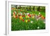 Keukenhof Garedns , Holland-neirfy-Framed Photographic Print