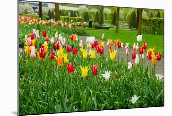 Keukenhof Garedns , Holland-neirfy-Mounted Photographic Print