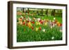 Keukenhof Garedns , Holland-neirfy-Framed Photographic Print