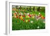 Keukenhof Garedns , Holland-neirfy-Framed Photographic Print