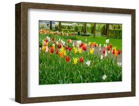 Keukenhof Garedns , Holland-neirfy-Framed Photographic Print