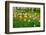 Keukenhof Garedns , Holland-neirfy-Framed Photographic Print