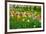 Keukenhof Garedns , Holland-neirfy-Framed Photographic Print