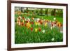 Keukenhof Garedns , Holland-neirfy-Framed Photographic Print