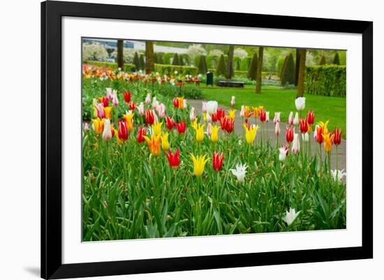 Keukenhof Garedns , Holland-neirfy-Framed Photographic Print