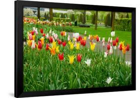 Keukenhof Garedns , Holland-neirfy-Framed Photographic Print