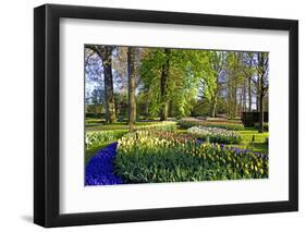 Keukenhof near Lisse, South Holland, Netherlands, Europe-Hans-Peter Merten-Framed Photographic Print