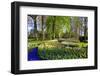 Keukenhof near Lisse, South Holland, Netherlands, Europe-Hans-Peter Merten-Framed Photographic Print