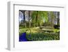 Keukenhof near Lisse, South Holland, Netherlands, Europe-Hans-Peter Merten-Framed Photographic Print