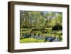 Keukenhof near Lisse, South Holland, Netherlands, Europe-Hans-Peter Merten-Framed Photographic Print