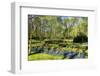 Keukenhof near Lisse, South Holland, Netherlands, Europe-Hans-Peter Merten-Framed Photographic Print