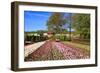 Keukenhof near Lisse, South Holland, Netherlands, Europe-Hans-Peter Merten-Framed Photographic Print