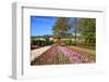 Keukenhof near Lisse, South Holland, Netherlands, Europe-Hans-Peter Merten-Framed Photographic Print