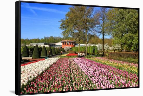 Keukenhof near Lisse, South Holland, Netherlands, Europe-Hans-Peter Merten-Framed Stretched Canvas