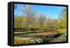 Keukenhof near Lisse, South Holland, Netherlands, Europe-Hans-Peter Merten-Framed Stretched Canvas