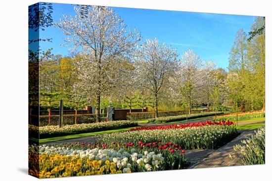 Keukenhof near Lisse, South Holland, Netherlands, Europe-Hans-Peter Merten-Stretched Canvas