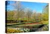 Keukenhof near Lisse, South Holland, Netherlands, Europe-Hans-Peter Merten-Stretched Canvas