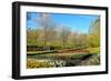 Keukenhof near Lisse, South Holland, Netherlands, Europe-Hans-Peter Merten-Framed Photographic Print