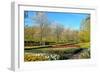 Keukenhof near Lisse, South Holland, Netherlands, Europe-Hans-Peter Merten-Framed Photographic Print