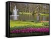 Keukenhof, Park and Gardens Near Amsterdam, Netherlands, Europe-Amanda Hall-Framed Stretched Canvas