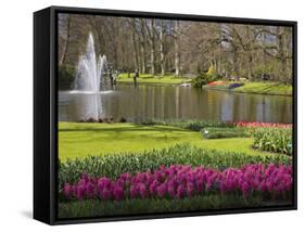 Keukenhof, Park and Gardens Near Amsterdam, Netherlands, Europe-Amanda Hall-Framed Stretched Canvas