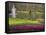 Keukenhof, Park and Gardens Near Amsterdam, Netherlands, Europe-Amanda Hall-Framed Stretched Canvas